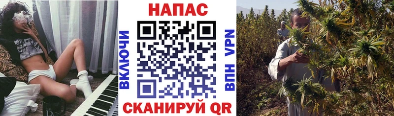 Купить наркотик Сосновоборск Канабис  Меф  COCAIN  СОЛЬ  ГАШИШ 