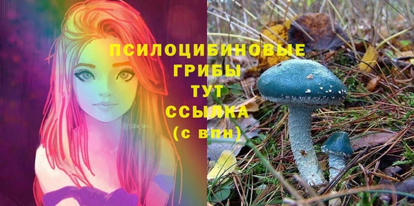 синтетический гашиш Зеленодольск